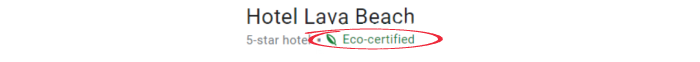 Google sustainability certificate Mirai