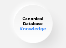 mirai ai infrastructure base dados canonica